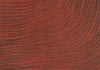 2016, crayon, huile, 14,5 × 21